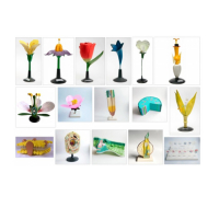 Комплект ботанических моделей демонстрационный - «globural.ru» - Мурманск