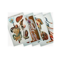 Таблицы рельефные - «globural.ru» - Мурманск