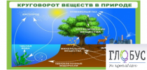 Стенд "Круговорот веществ" - «globural.ru» - Мурманск