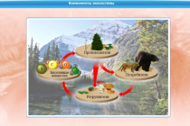 Интерактивные курсы. Биология 7 класс. Базовый - «globural.ru» - Мурманск