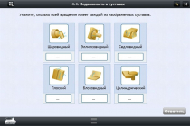 Интерактивные курсы. Биология 8 класс. Базовый  - «globural.ru» - Мурманск