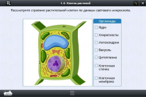 Интерактивные курсы. Биология 9 класс. Базовый - «globural.ru» - Мурманск