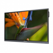 Интерактивный программно-аппаратный комплекс Geckotouch Interactive Pro IP75HT-E в комплекте с настенным креплением - «globural.ru» - Мурманск