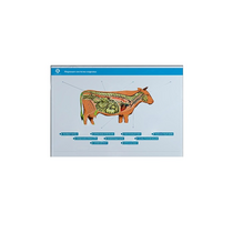 Стенд-планшет светодинамический "Изучение нервной системы сельскохозяйственных животных" со сменными панелями - «globural.ru» - Мурманск