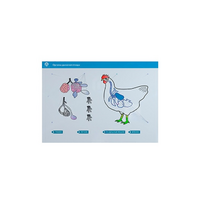 Стенд-планшет светодинамический "Изучение органов дыхания сельскохозяйственных животных" со сменными панелями - «globural.ru» - Мурманск