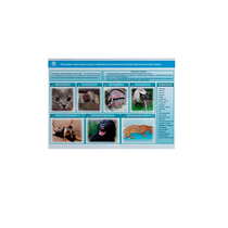 Стенд-планшет светодинамический «Острые отравления животных лекарственными препаратами» - «globural.ru» - Мурманск