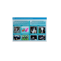 Стенд-планшет светодинамический «Изучение асептических и гнойных воспалительных процессов» - «globural.ru» - Мурманск