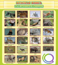 Стенд "Красная книга - млекопитающие" - «globural.ru» - Мурманск