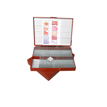 Комплект микропрепаратов "Анатомия" - «globural.ru» - Мурманск