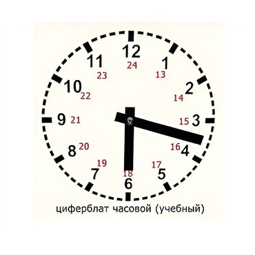 Часовой циферблат раздаточный - «globural.ru» - Мурманск