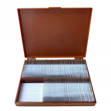 Комплект микропрепаратов по анатомии, ботанике, зоологии, общей биологии - «globural.ru» - Мурманск